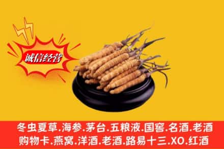 灵川县求购回收虫草多少钱每克
